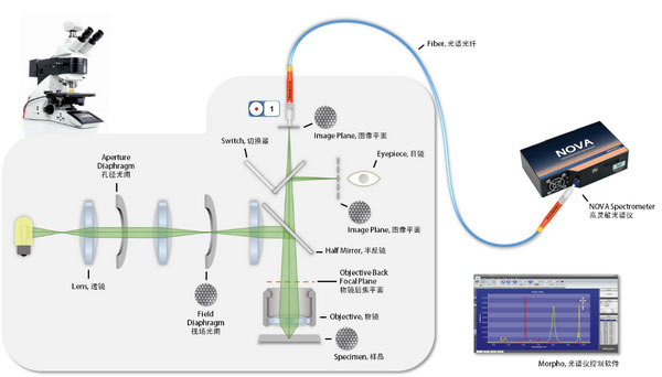 微区光谱与显微角分辨光谱联用系统