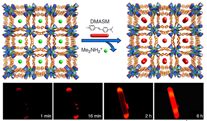 bio-MOF-1 单晶封装吡啶半菁阳离子染料 DMASM 的结构示意图及显微荧光成像