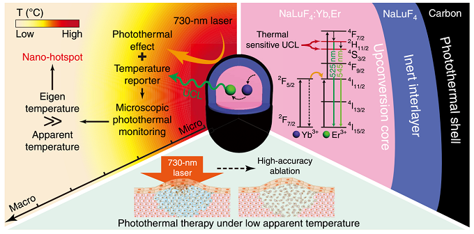 低温下 csUCNP@C 进行精确光热治疗的原理示意图