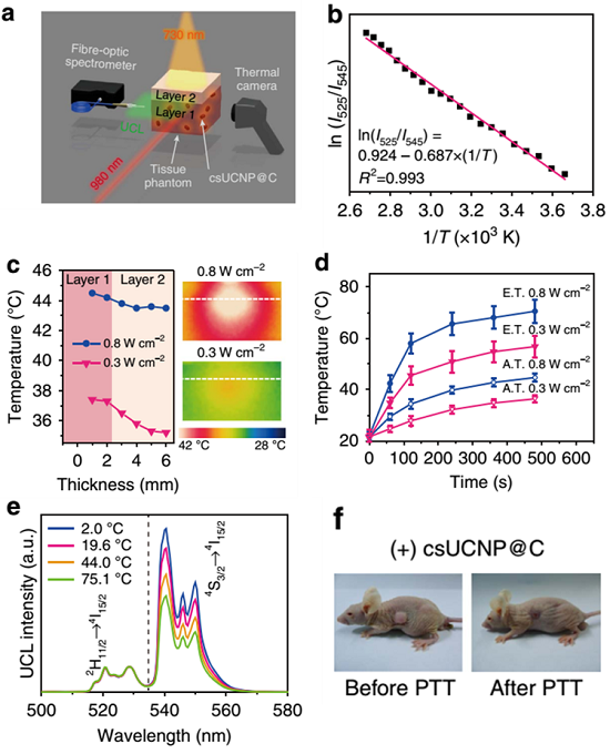 csUCNP@C 纳米复合材料的光谱与温度表征结果及活体光热治疗实验验证图