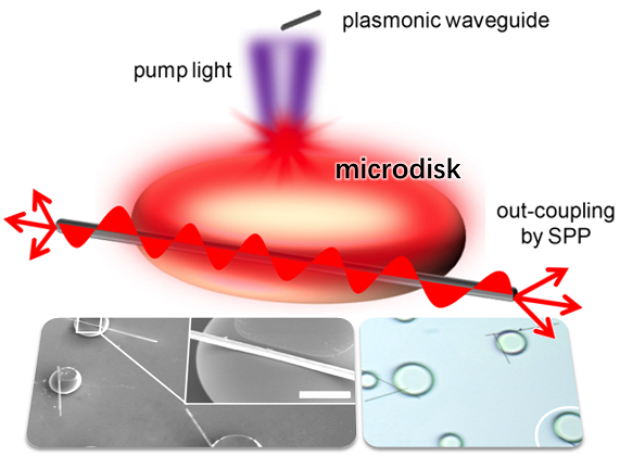 一种染料掺杂有机柔性微盘与银纳米线波导杂化的纳米激光器