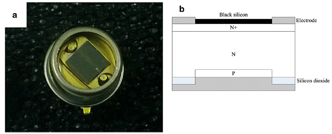 基于黑硅的 Si-PIN 探测器的真实图片及结构图