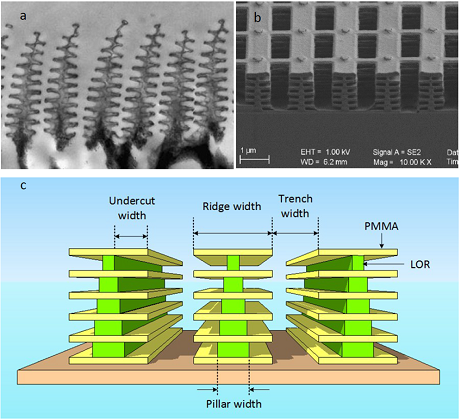 大闪蝶蝴蝶翅膀 SEM 图、本文所加工的 3D 片层结构 SEM 图及设计图