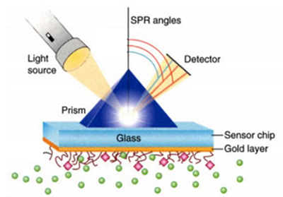 棱镜耦合型表面等离子体共振体系示意图