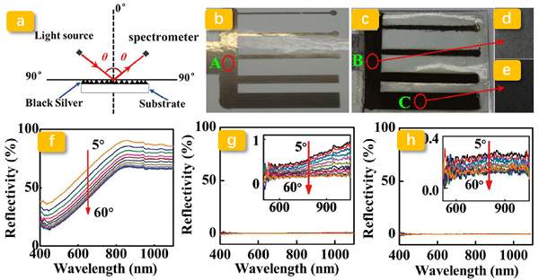 电泳前后银纳米片聚合物的角分辨反射光谱